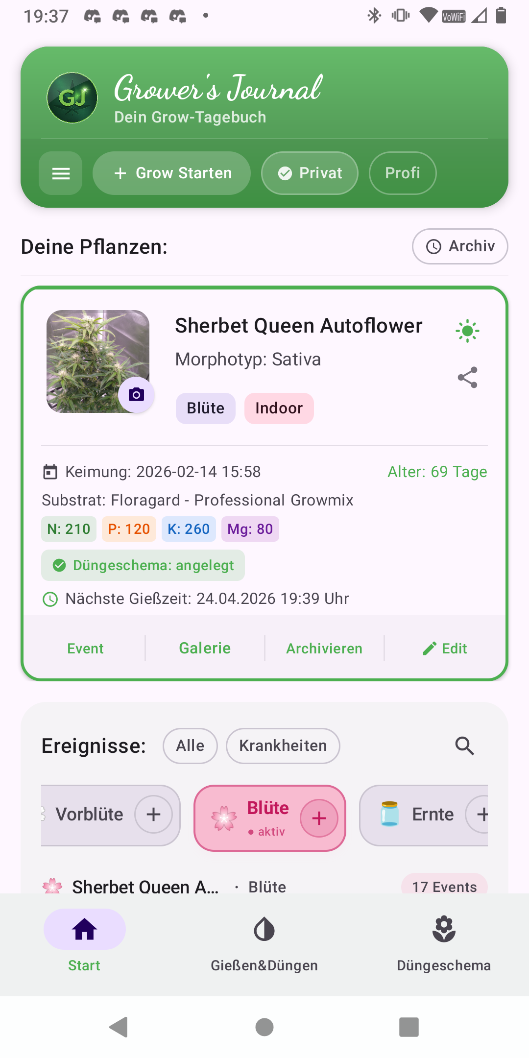 Screenshot 5 - Timeline Gallery